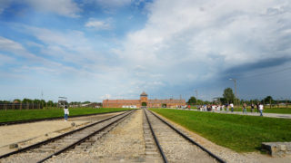 Thumbnail of post image 115