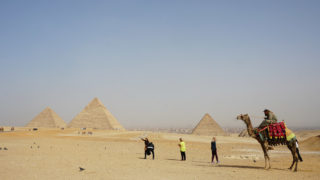 Thumbnail of post image 197