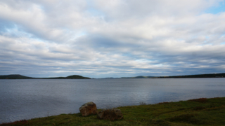 Thumbnail of post image 108